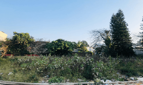 property for sale in Dehradun - Doonrealestates